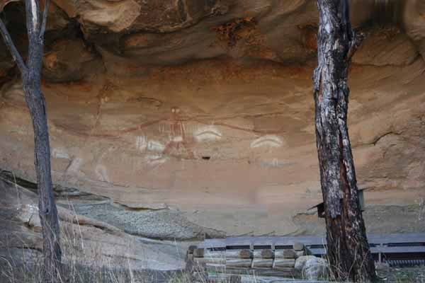 AustraliaBaiameCave2