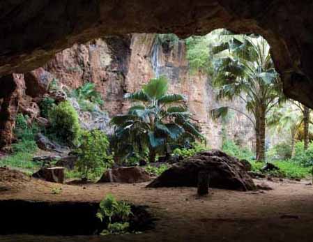 cavehawaii1008