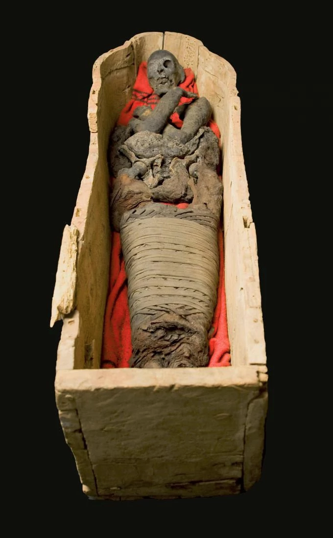 Mummipedia Wiki | FANDOM powered by Wikia 4