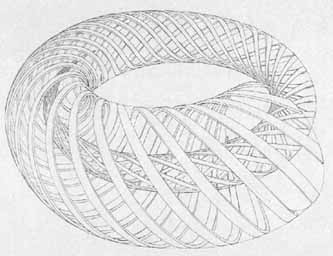 ouroboros_torus